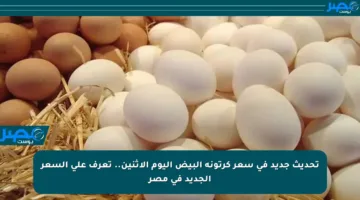 تحديث جديد في سعر كرتونة البيض اليوم الاثنين.. تعرف على السعر الجديد في مصر